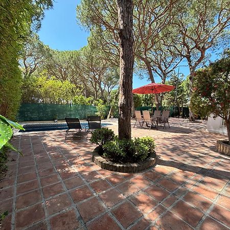 Marbella White Home, Calahonda, By Sol Maestranza Sitio de Calahonda 外观 照片